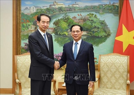 Deputy PM asks for close coordination to ensure success for Vietnam - China meeting